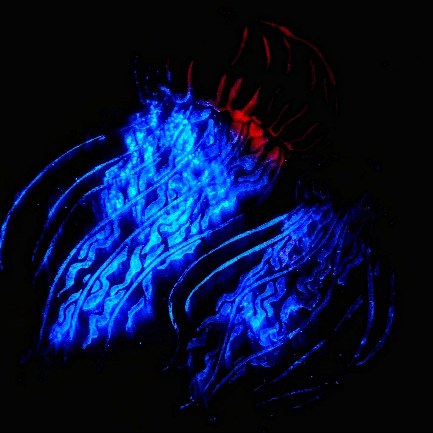 Jelly, Jelly, Jellaaay painting glowing under black light