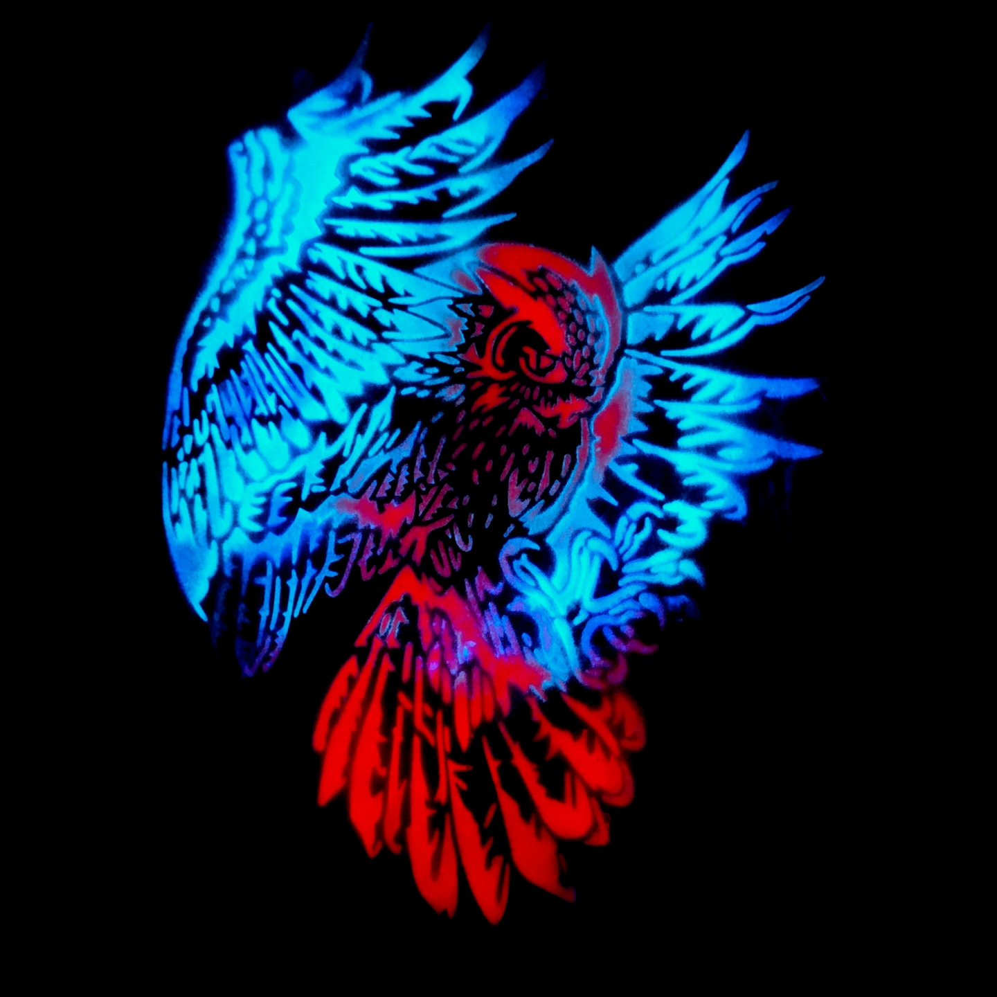 Owl artwork glowing against darkness